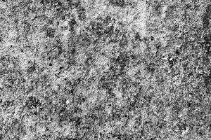 Asbestos Panel