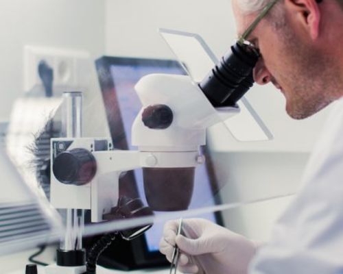 Asbestos Sampling & Analysis